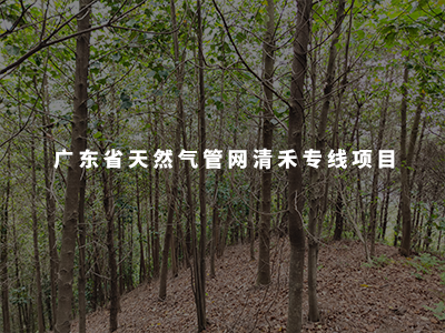 廣東省天然氣管網(wǎng)清禾專(zhuān)線(xiàn)項(xiàng)目